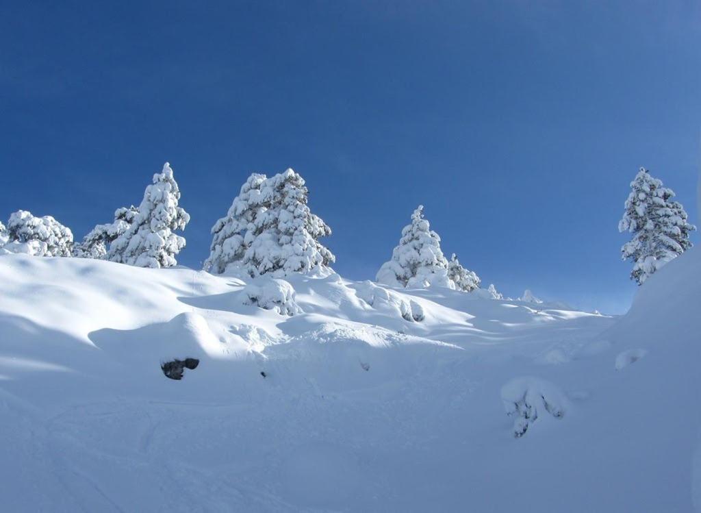 Javalambre Mountain Superski Camarena de la Sierra Eksteriør billede