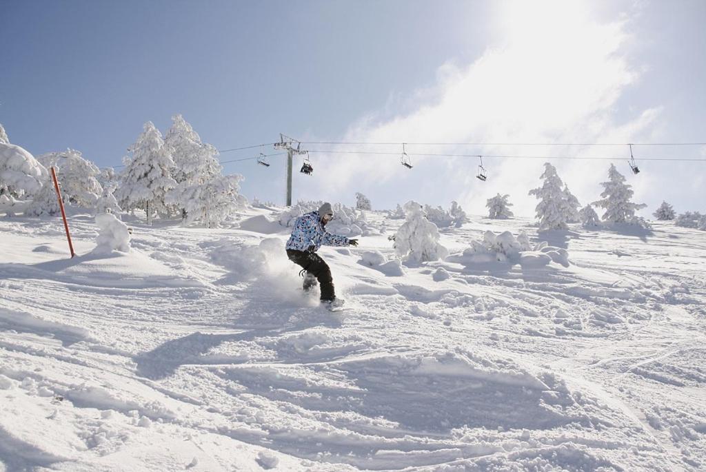 Javalambre Mountain Superski Camarena de la Sierra Eksteriør billede